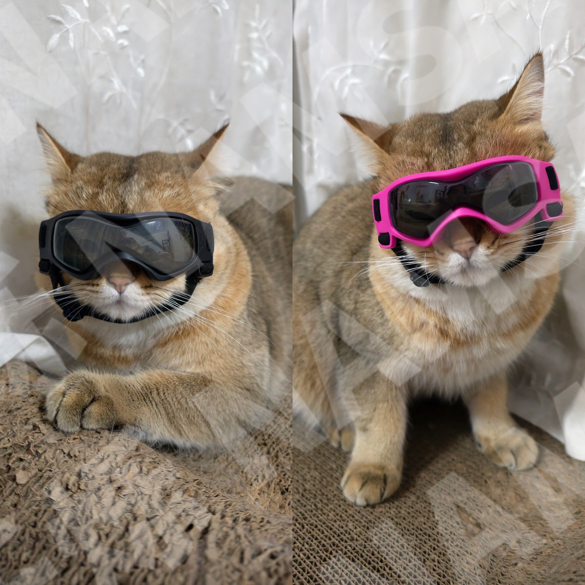 New Pet Supplies Dog Glasses Cat Goggles Anti-UV Cool Sunglasses