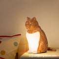 Cute Cat Night Light, USB Rechargeable Ambient Lamp for Bedroom