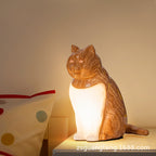 Cute Cat Night Light, USB Rechargeable Ambient Lamp for Bedroom